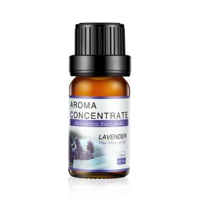 10ML Aroma Humidifier Special Essential Oil (Option: 10ml-Eucalyptus And Mint)